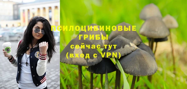 бутират Лиски