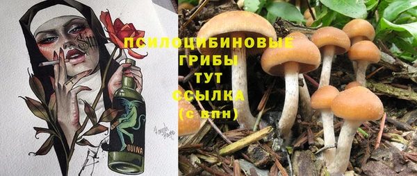 метадон Липки
