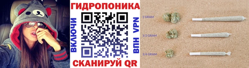 Конопля сатива  Усмань 